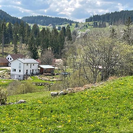 Ferienwohnung am Hirtenpfad Lenzkirch Exterior foto